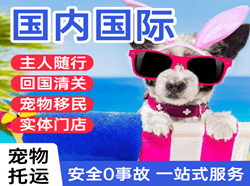 锦州机场快递国际宠物托运 【国